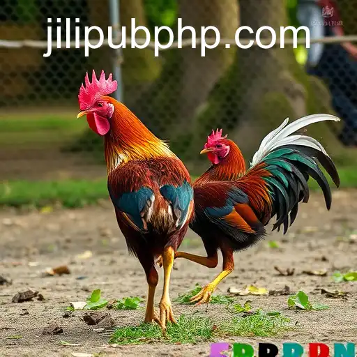 Exploring Online Sabong: A Deep Dive into JiLiPUB.COM